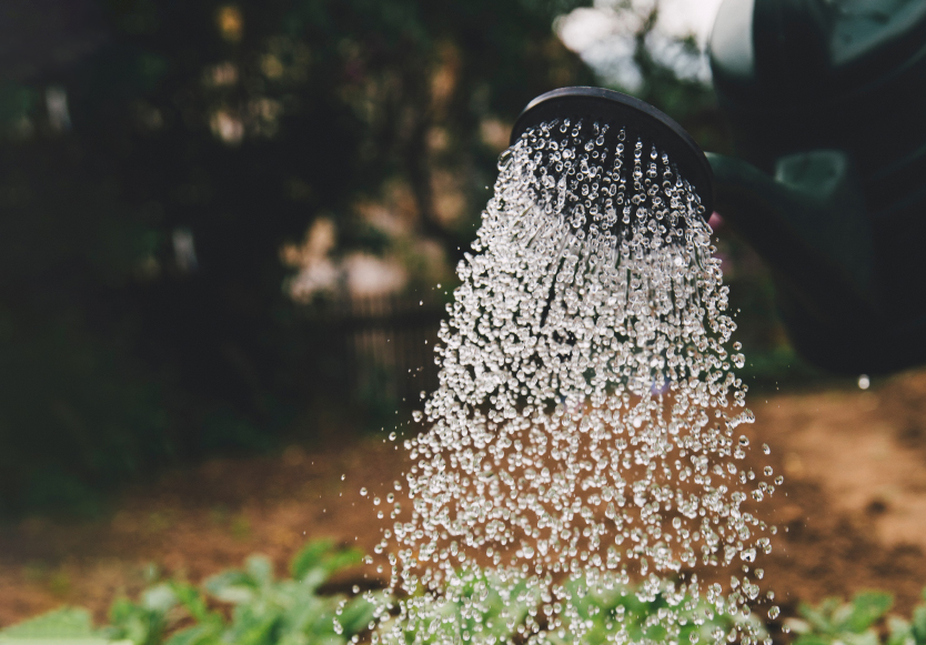 watering-can